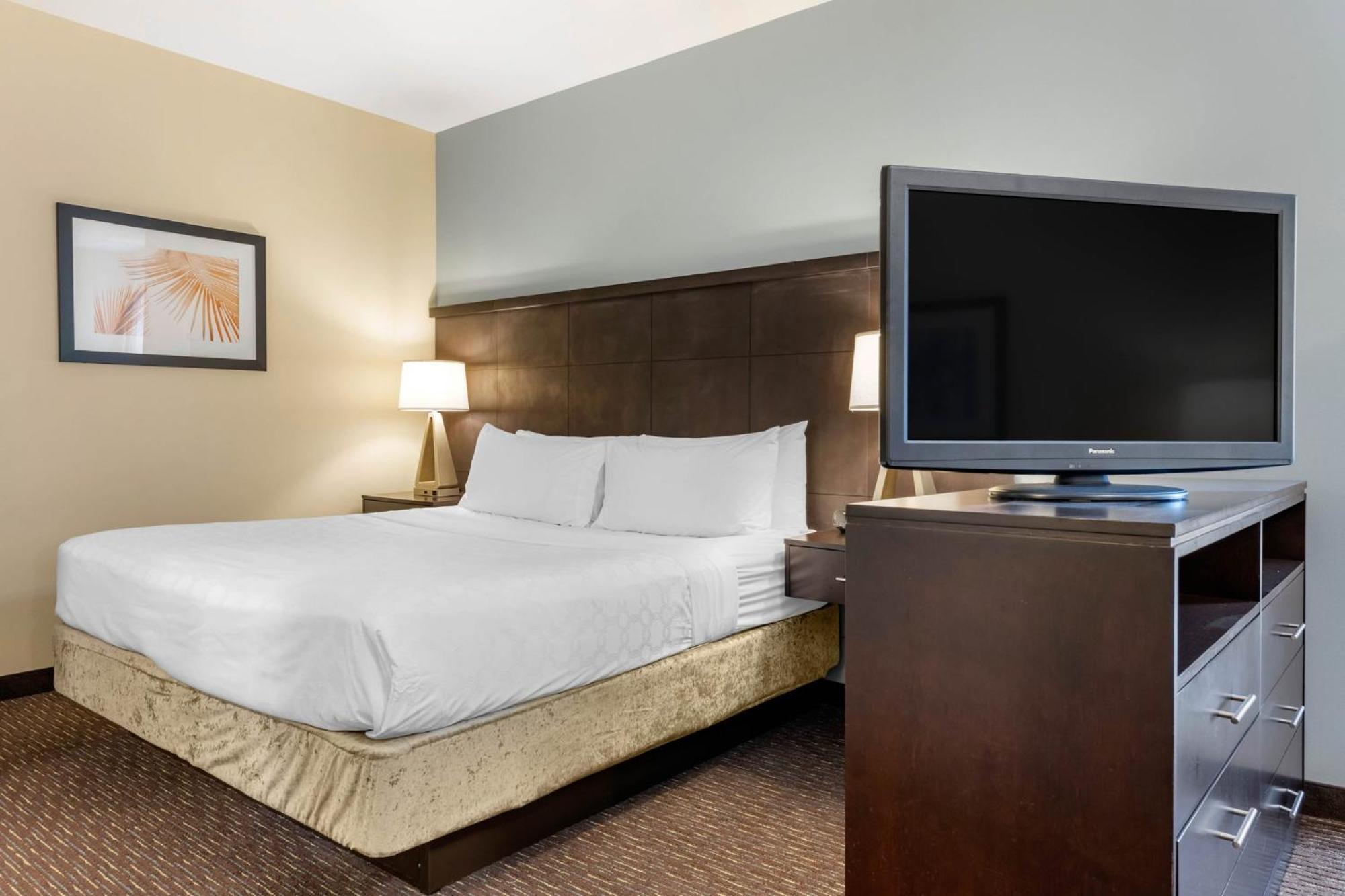 Staybridge Suites St. Petersburg Fl By Ihg Екстериор снимка